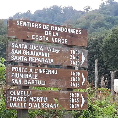Osari -