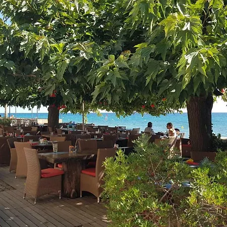 Apartament Osari - *